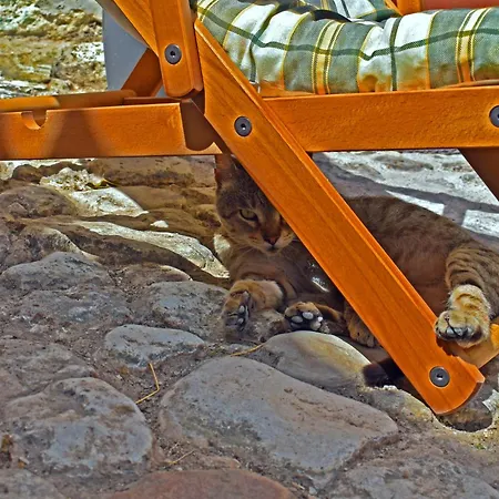 Appartement La Dimora Di Santa Barbara *